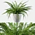 Elegant Fern Indoor Plant 3D model small image 1