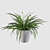 Elegant Fern Indoor Plant 3D model small image 4