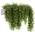 Lush Greens Set - Hanging Plants 3D model small image 1