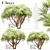 Scenic Set of Pinus Mugo Trees 3D model small image 2