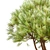 Scenic Set of Pinus Mugo Trees 3D model small image 5