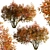 Amelanchier Tree Set: Shadbush & Serviceberry (2 Trees) 3D model small image 2