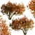Amelanchier Tree Set: Shadbush & Serviceberry (2 Trees) 3D model small image 4
