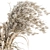 Pristine Pampas Stems - Dried Elegance 3D model small image 3