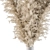 Eternal Beauty Pampas Grass 3D model small image 2