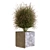 Greenery Box Set: 13 Plants 3D model small image 2