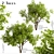 Robinia Pseudoacacia Trees: Elegant and Versatile (2-Pack) 3D model small image 1