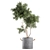 Tropical Decorative Tree - Black Vase 3D model small image 3