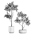 Tropical Plant Collection 3D model small image 5