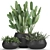 Exotic Plant Collection in Black Vases 3D model small image 1