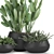 Exotic Plant Collection in Black Vases 3D model small image 2