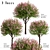  Vibrant Set of Dappled Willow Trees (3-Pack) 3D model small image 3