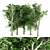 European Linden Grove - 5 Majestic Trees 3D model small image 1