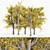 European Linden Fall Tree Set 3D model small image 1