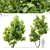 Edible Fig Tree - Ficus Carica 3D model small image 1