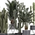 Exotic Plant Collection: Cacti & Palms 3D model small image 2