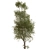 22-Piece Tree Set 3D model small image 2