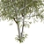22-Piece Tree Set 3D model small image 3