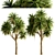 Lush New Zealand Cabbage Tree Trio 3D model small image 2