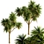 Lush New Zealand Cabbage Tree Trio 3D model small image 5