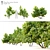 Ficus Carica: 2m Edible Fig 3D model small image 1