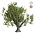 23-Piece Tree Set 3D model small image 1