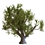 23-Piece Tree Set 3D model small image 2