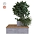 Nature's Oasis: Plant Tree Set 3D model small image 1