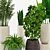 Green Paradise: Assorted Decorative Indoor Plants 3D model small image 2