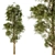  White Pine Tree Set - 24 Pack 3D model small image 1