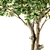 Lush Lemon Grove - Complete Set 3D model small image 4