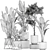 Exotic Plant Collection: Strelitzia, Banana Palm, Monstera 3D model small image 5