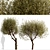 Majestic Olive Tree Set (2 Trees) 3D model small image 4