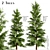 Lifelike Eastern Pine Tree Set 3D model small image 2