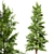 Lifelike Eastern Pine Tree Set 3D model small image 3