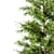 Lifelike Eastern Pine Tree Set 3D model small image 4