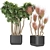 Botanical Bliss: Collection Plant Vol. 9 3D model small image 1