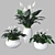 Elegant Peace Lily Plant 3D model small image 1