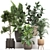 Exotic Plant Collection: Banana Palm, Ravenala, Ficus │ Decorative Plants for Indoor and Outdoor Use 3D model small image 1