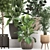 Exotic Plant Collection: Banana Palm, Ravenala, Ficus │ Decorative Plants for Indoor and Outdoor Use 3D model small image 2