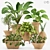 Tropical Plant Collection: Exotic Decor for Interiors 3D model small image 1