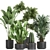 Tropical Plant Collection: Exotic Decor for Indoors & Out 3D model small image 1
