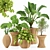 Tropical Indoor Plant Set 3D model small image 1