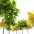 Mini Maple Tree: 3m Height, Two Material Options 3D model small image 4