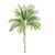 Tropical Palms Collection: 3 Varieties 3D model small image 2