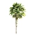 Tropical Palms Collection: 3 Varieties 3D model small image 3