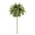 Tropical Palms Collection: 3 Varieties 3D model small image 4