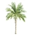 Tropical Palms Collection: 3 Varieties 3D model small image 5