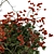 Festive Pine Berry Bouquet 3D model small image 4