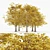 European Beech Fall - 5 Trees 3D model small image 1